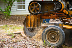 Stump Removal